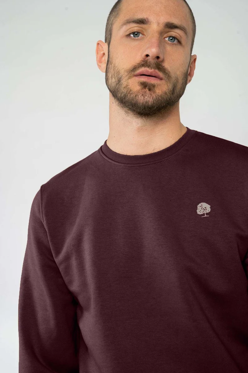 Standard Sweatshirt aus Bio Baumwolle