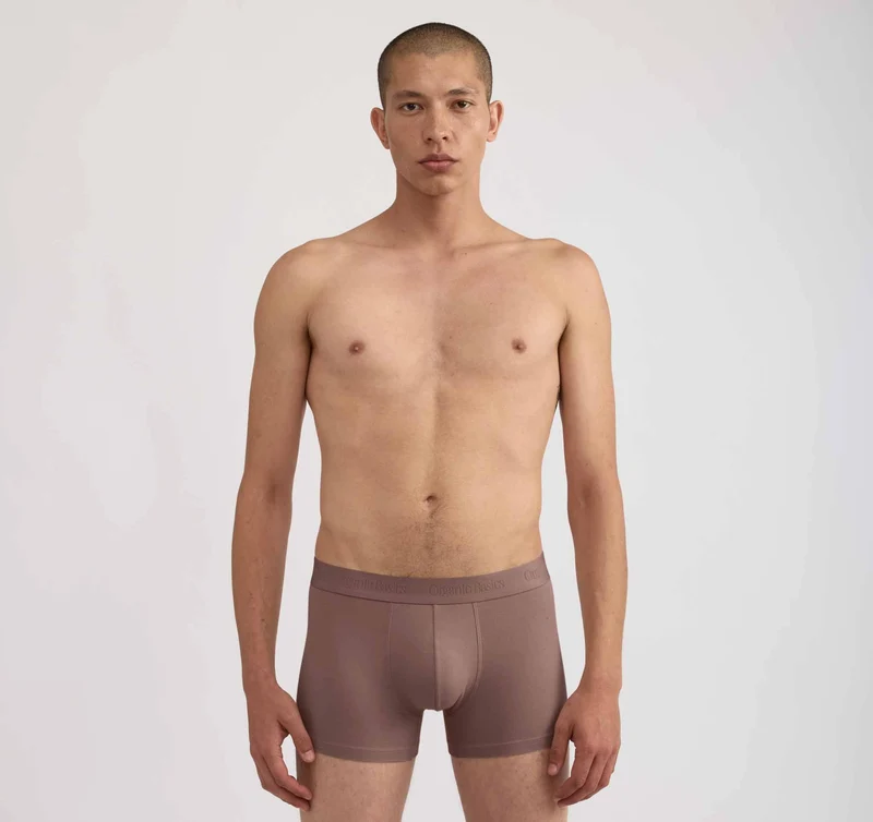 Core Trunks 12-Pack