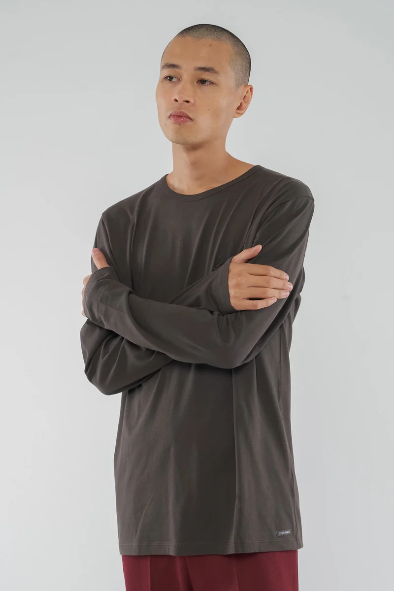 Premium Langarm-Shirt aus Bio Baumwolle