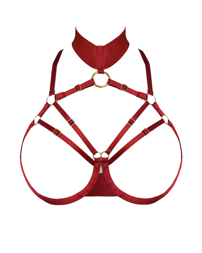 Bordelle Signature Ouvert Wire Bra in Burnt Red
