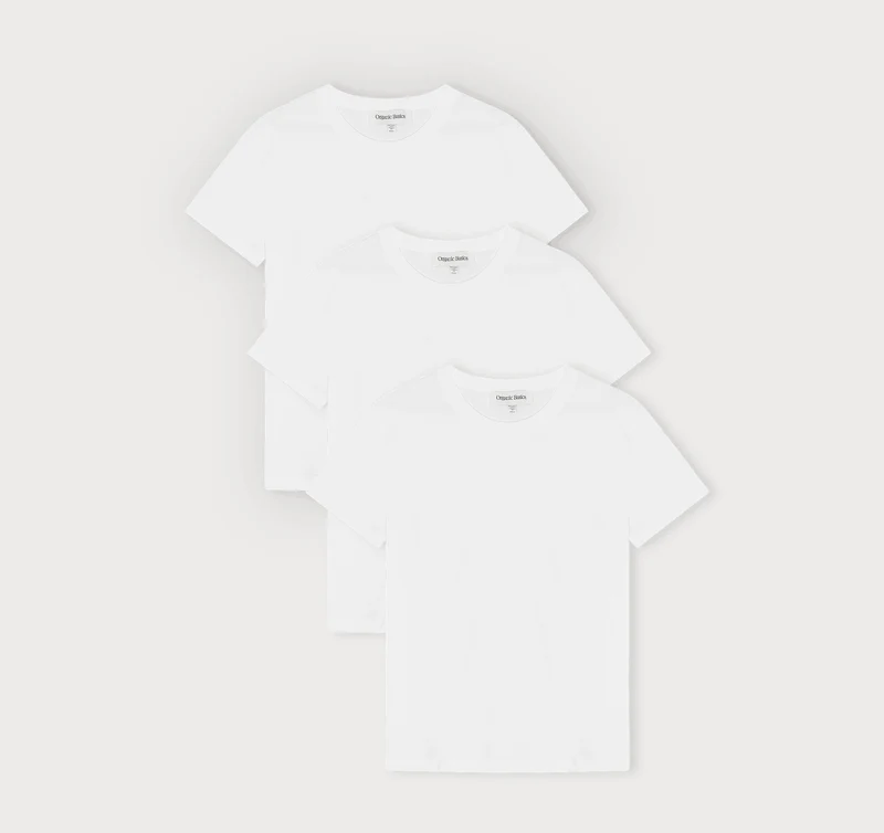True Regular Fit Tee 3-Pack