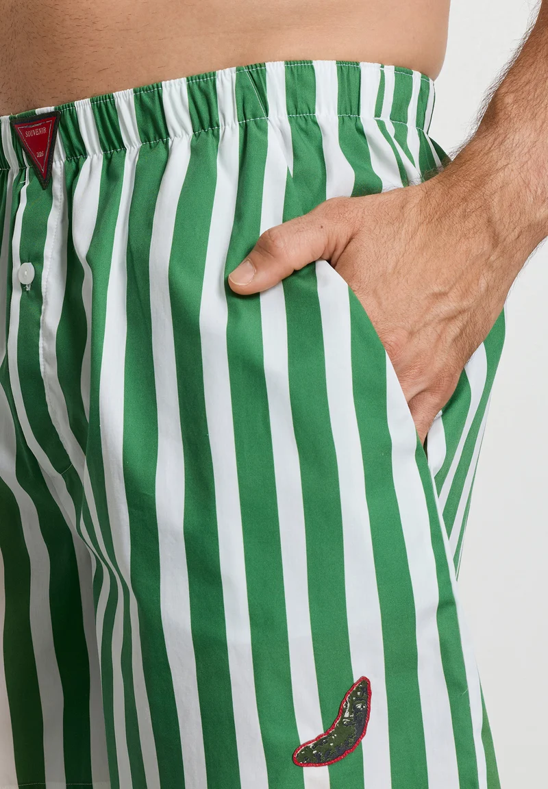 Charlotte Adam Short Pants | souvenir stripes 074723-073085