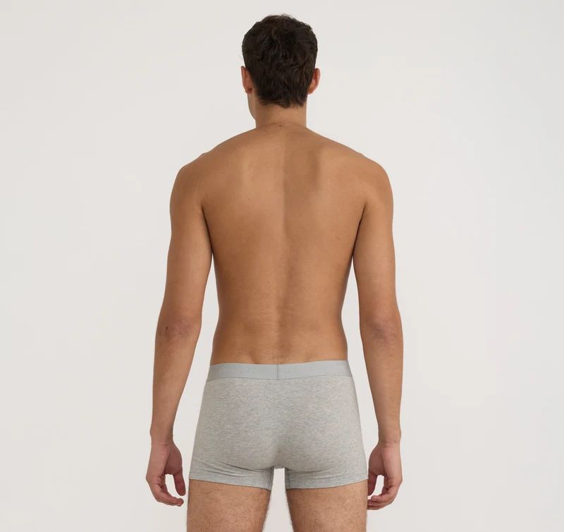 Core Trunks 12-Pack