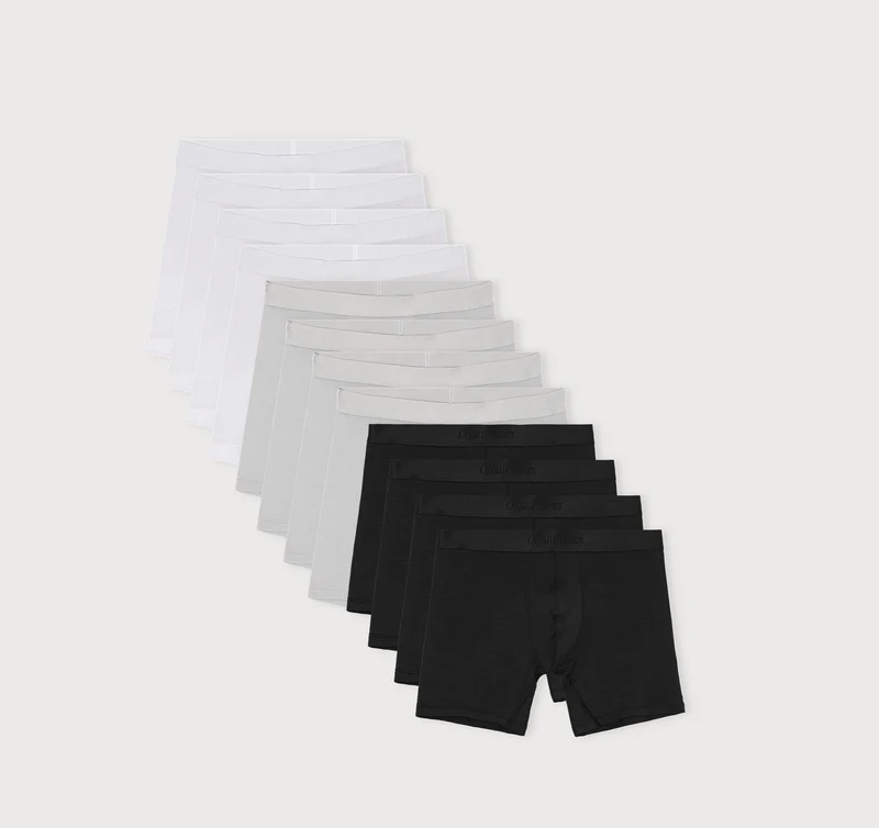 Premium Boxer Briefs 12-pack