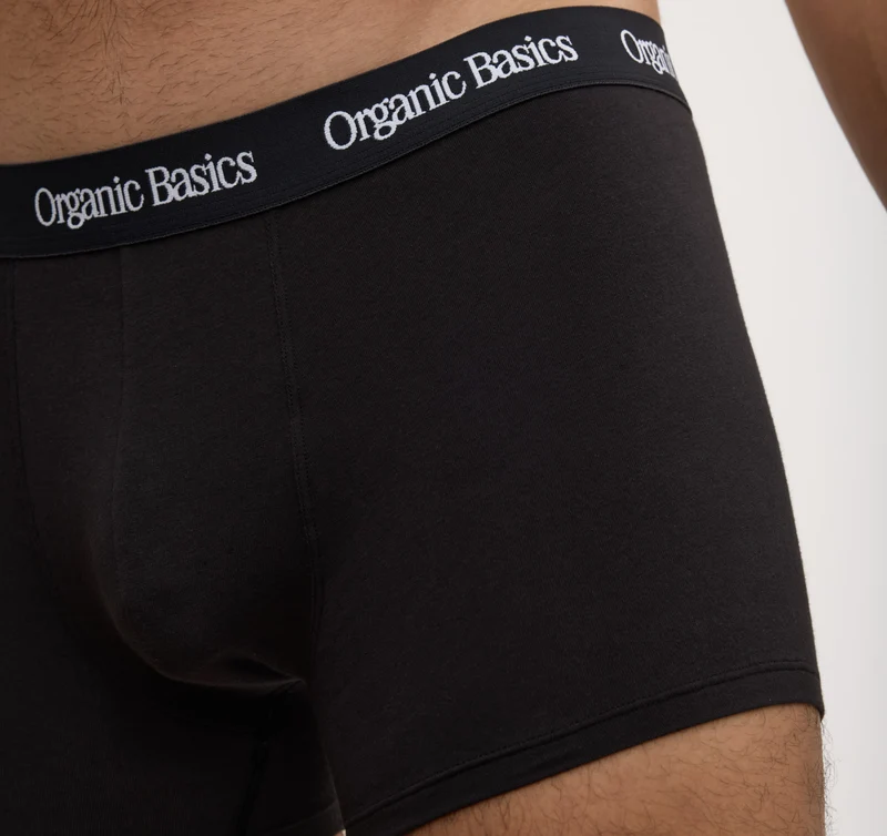 Core Trunks 6-Pack