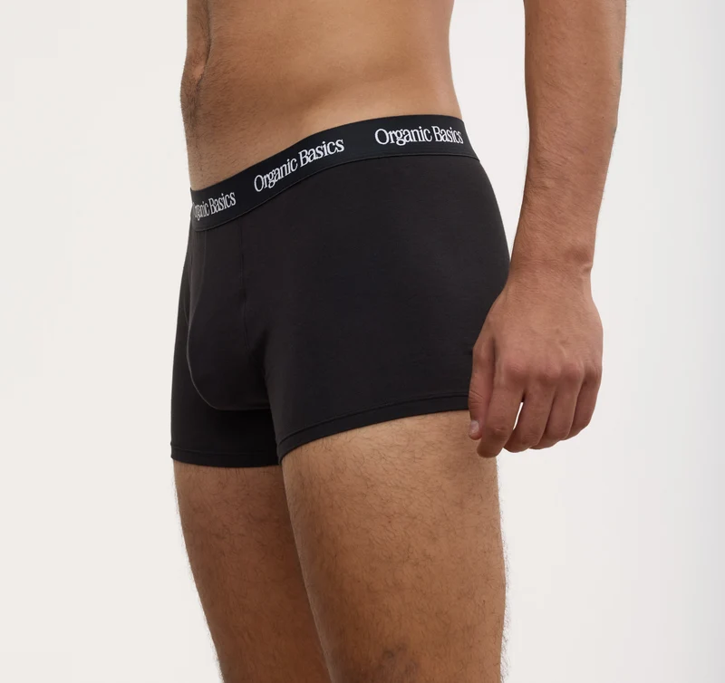 Core Trunks 6-Pack