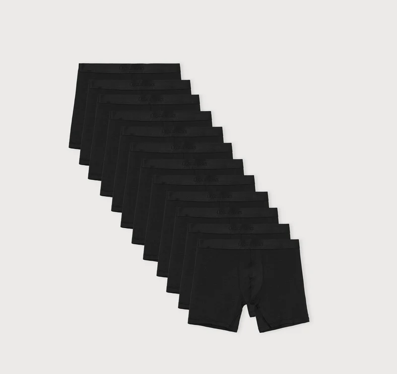 Premium Boxer Briefs 12-pack