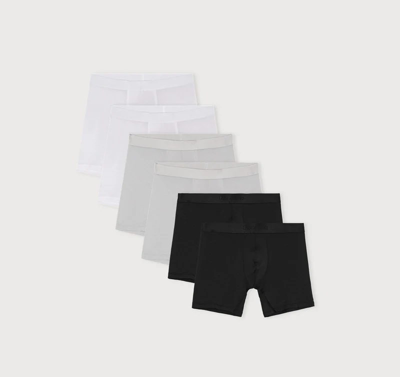 Premium Boxer Briefs 6-pack