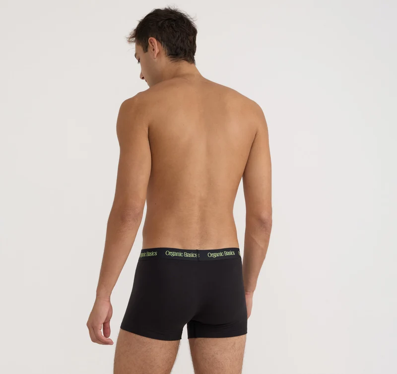 Core Trunks 12-Pack