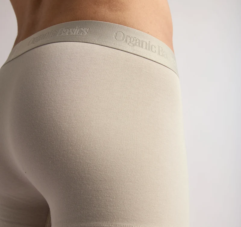 Core Trunks 12-Pack