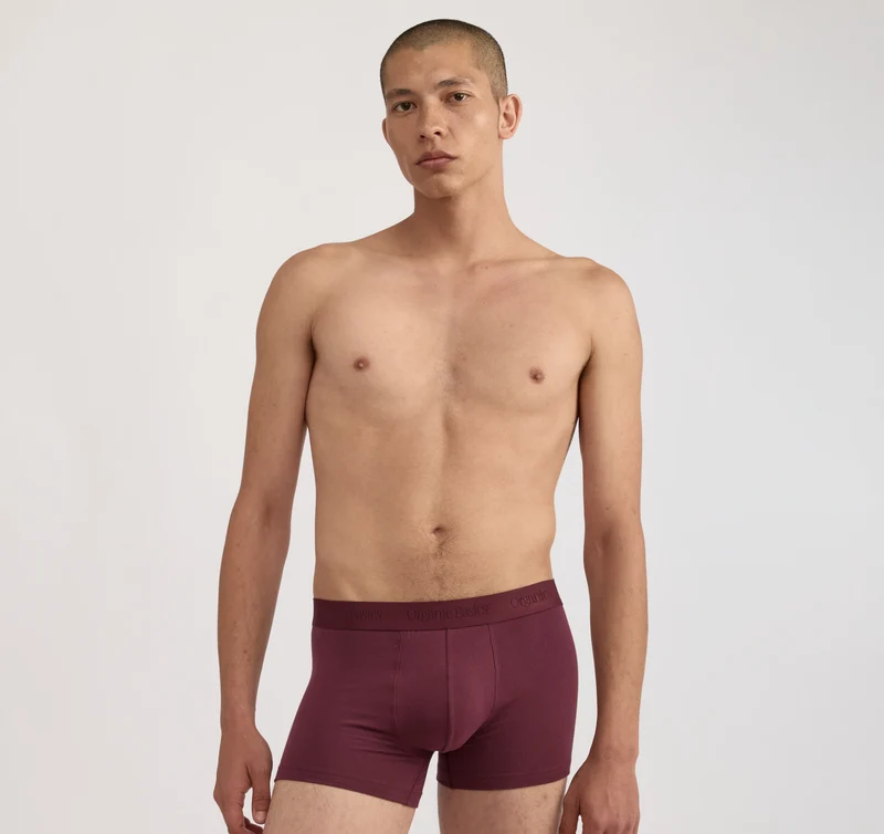 Core Trunks 12-Pack