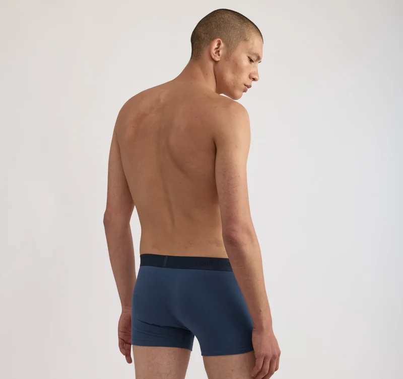 Core Trunks 12-Pack