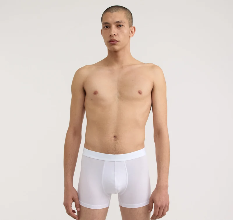 Core Trunks 12-Pack