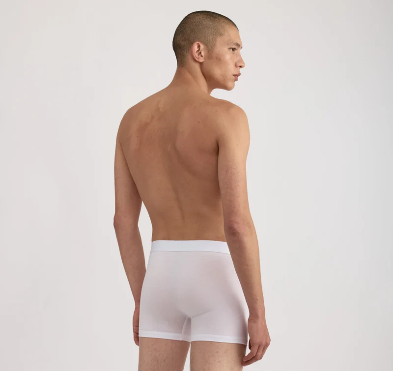 Premium Trunks 12-pack