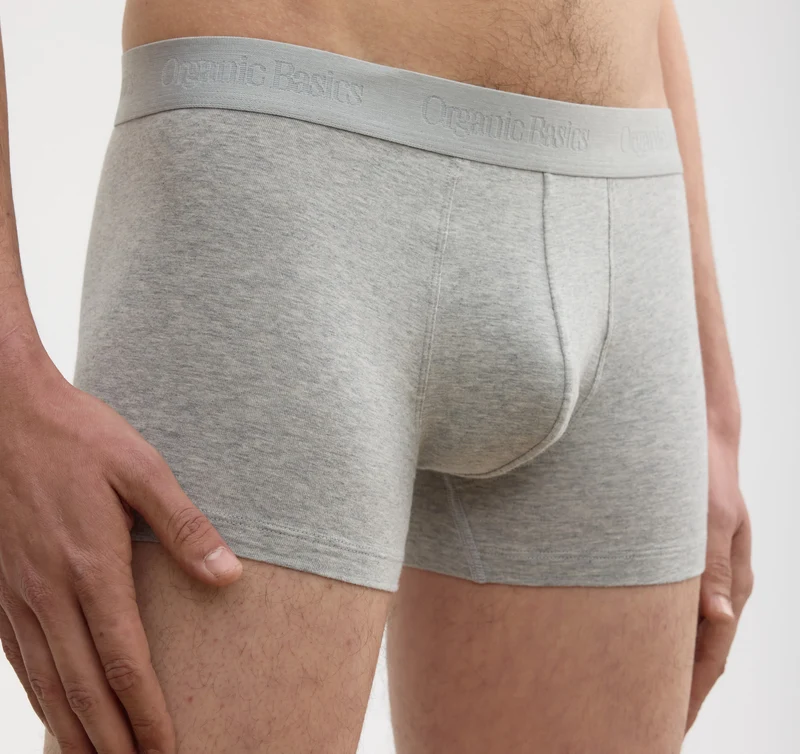 Core Trunks 12-Pack