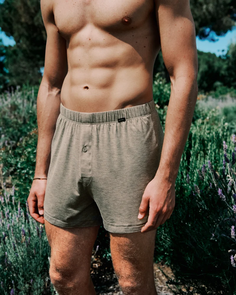 Casuals Daywear Boxers | hazelnut melange 073207-073115