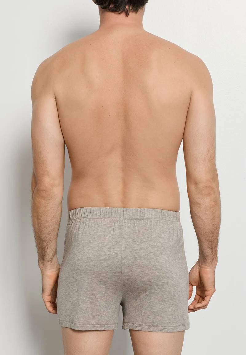 Casuals Daywear Boxers | hazelnut melange 073207-073115