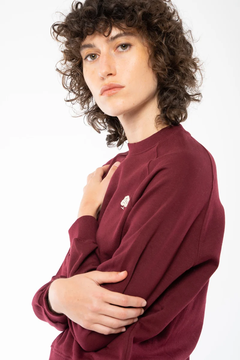 Damen Sweatshirt Pullover mit Raglanärmeln aus Bio Baumwolle