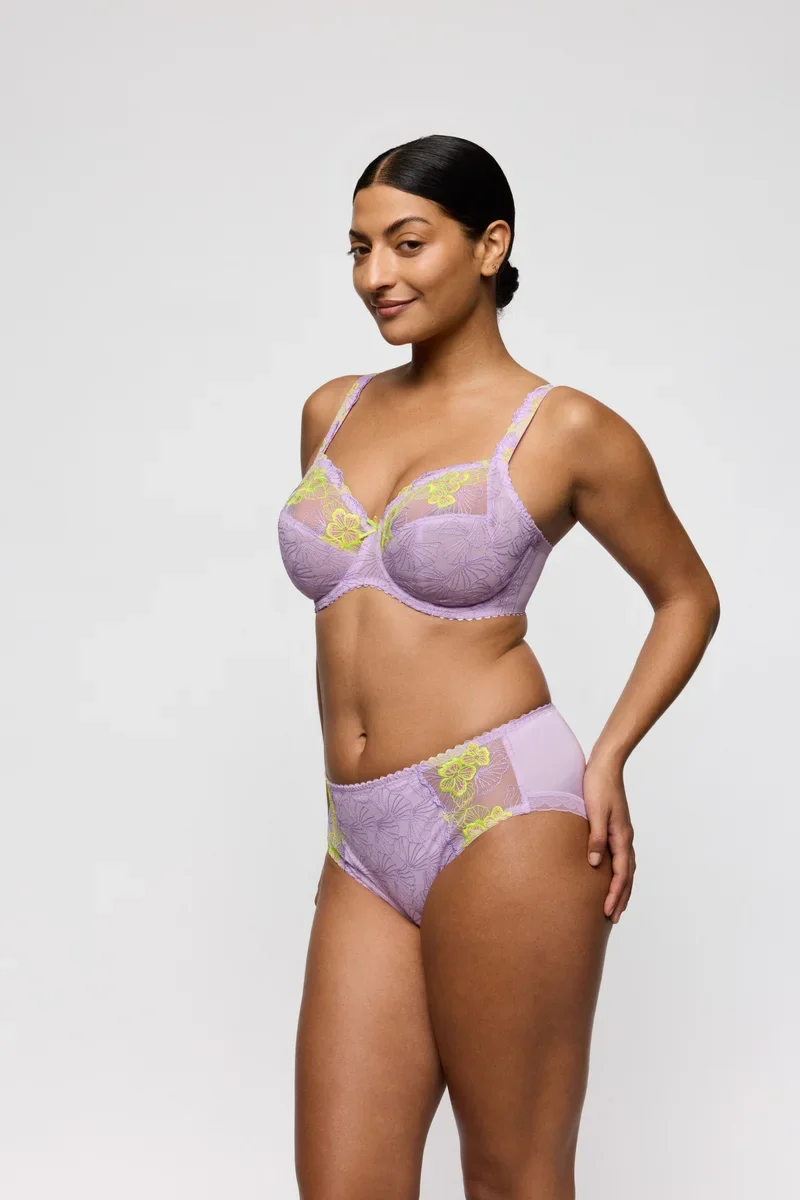 PrimaDonna - Ixia Lace Full Briefs Wisteria