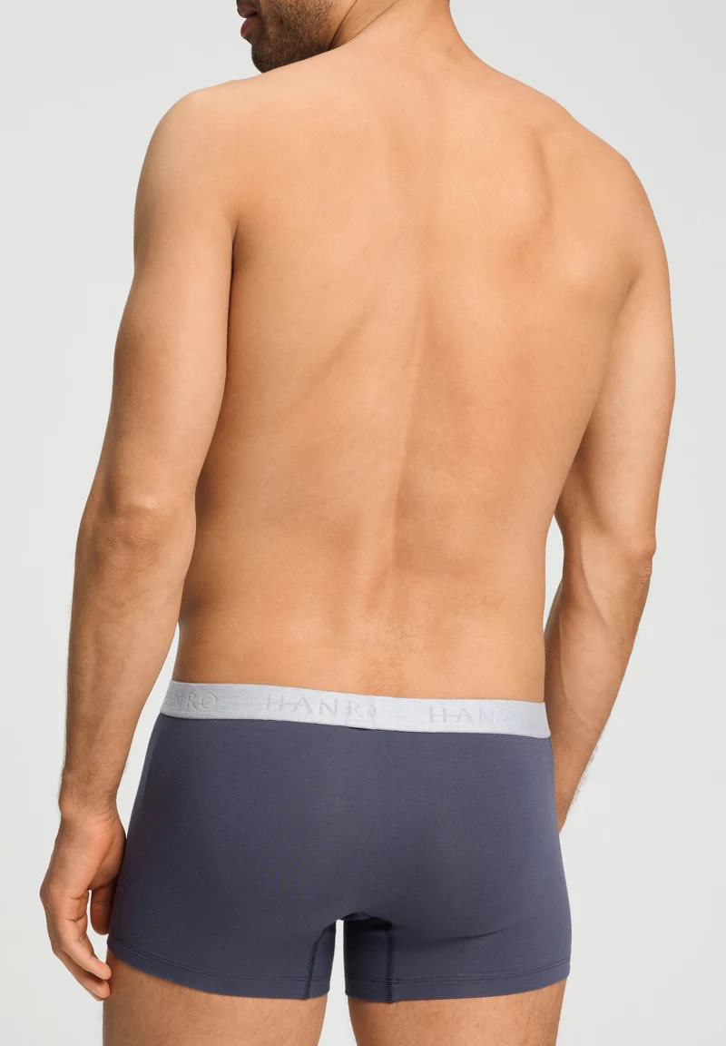 Cotton Essentials Pants 2Pack | stormy gray/tanzanite 073078-073134