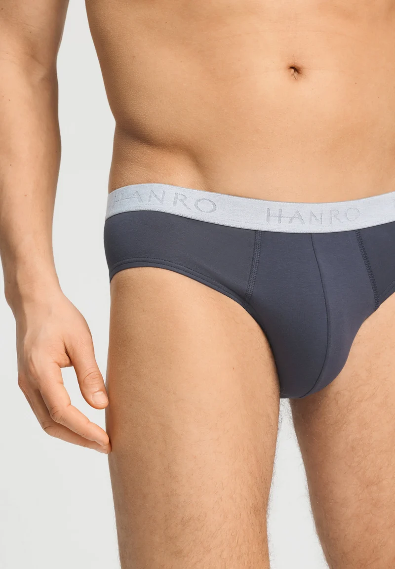 Cotton Essentials Briefs 2Pack | stormy gray/tanzanite 073075-073134