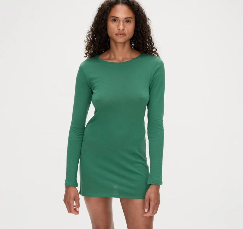 True Sheer Dress