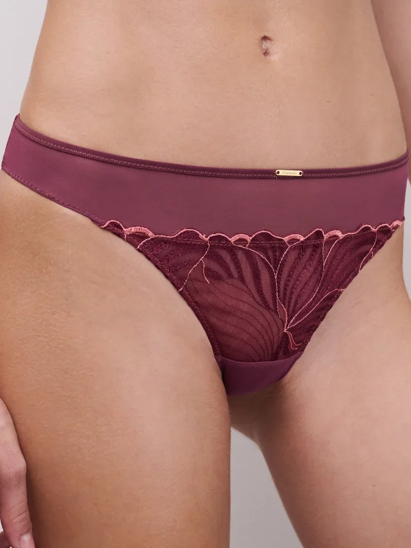 Chantelle - Legend Tanga Sienna / Guave