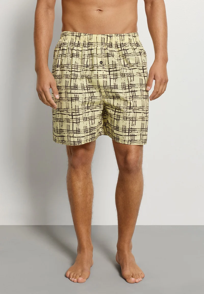 Arthur Arbesser X Hanro Boxers | tartan print 076369-073069