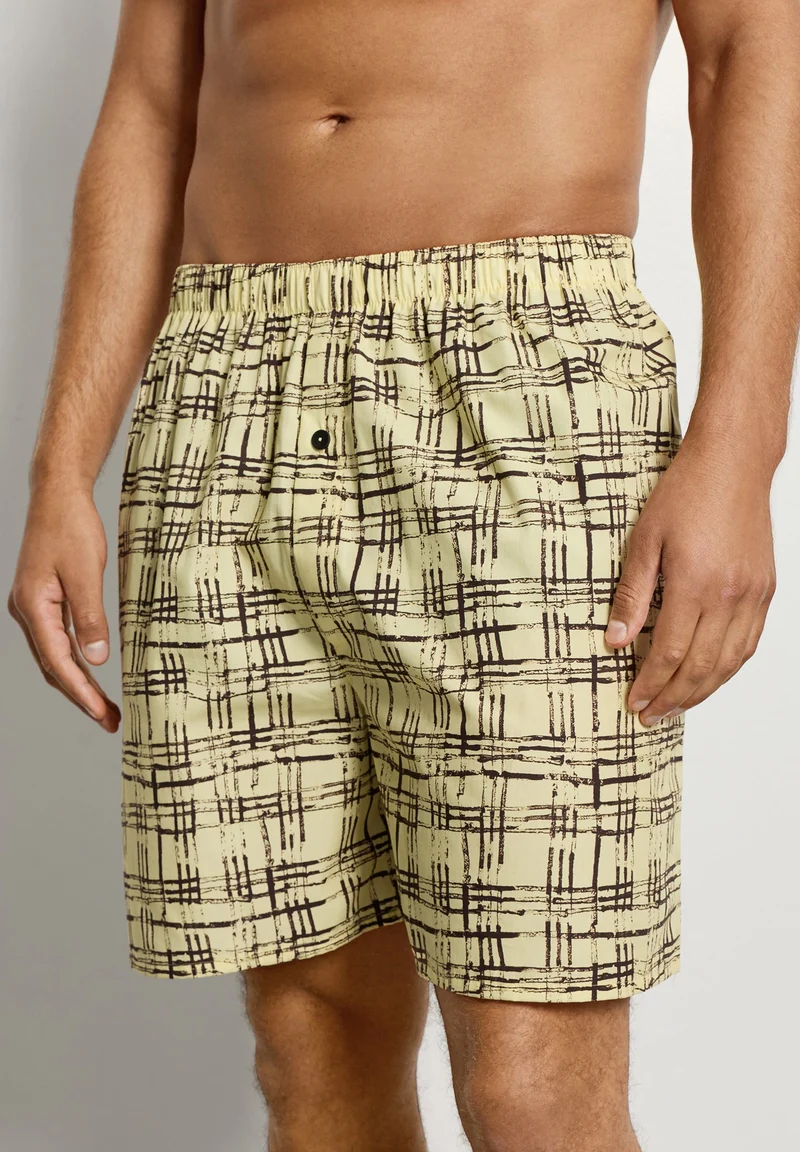 Arthur Arbesser X Hanro Boxers | tartan print 076369-073069