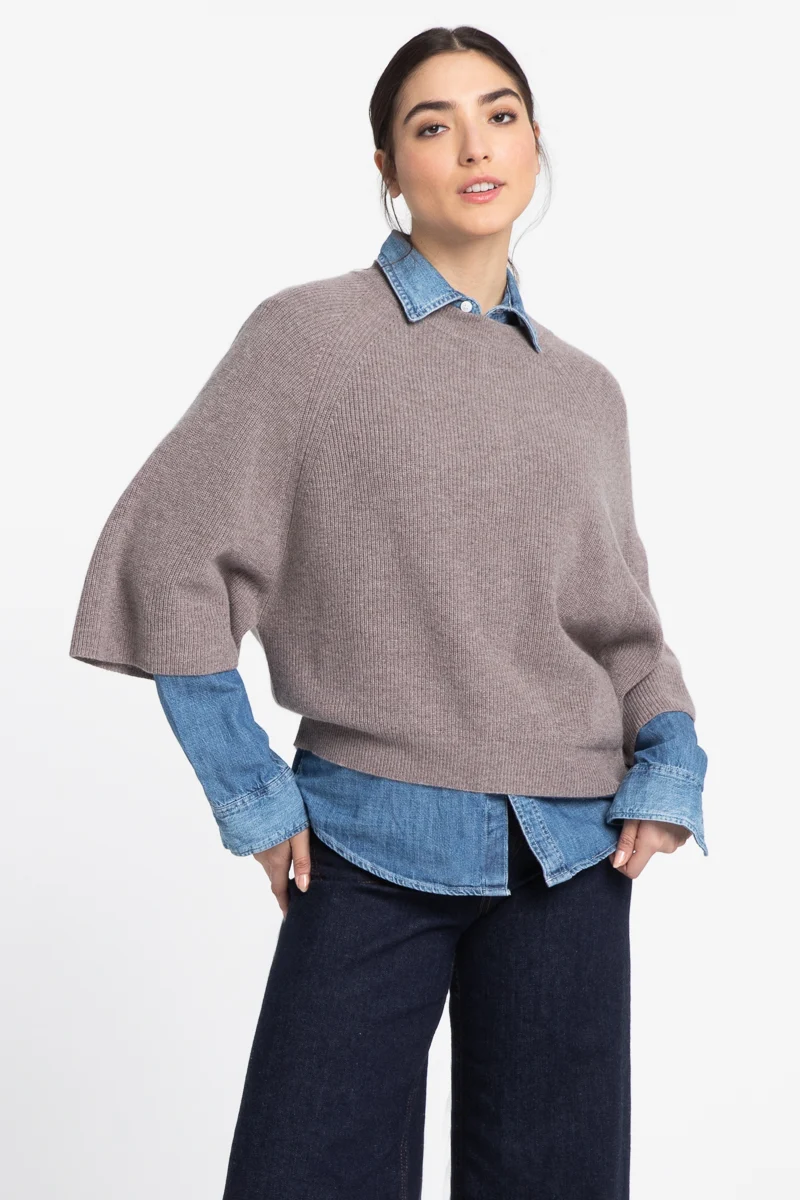 Seal Raglan Pullover
