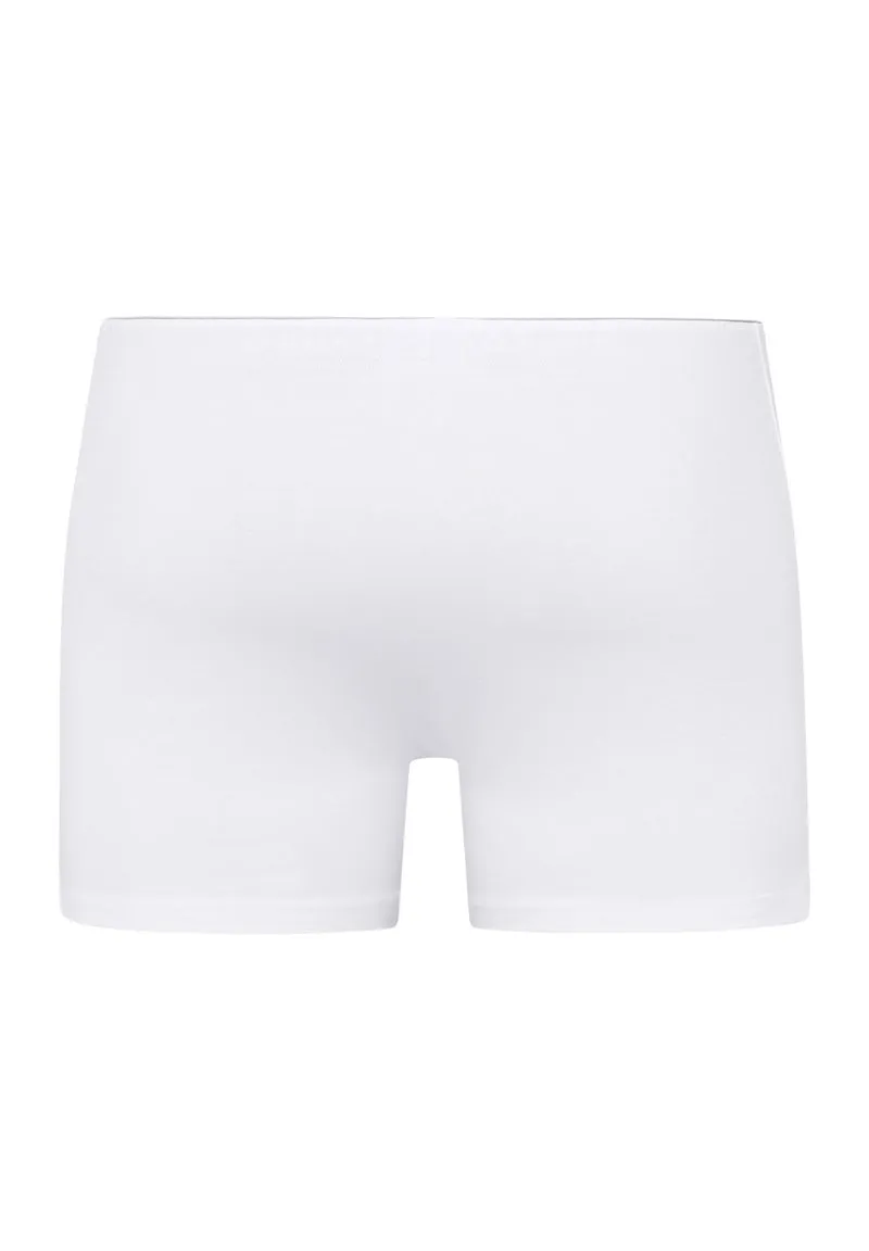 Cotton Superior Shortleg Pants | white 073090-070101