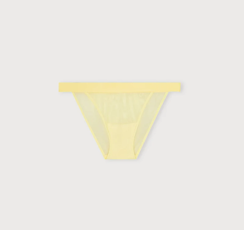 Mesh Tanga Briefs