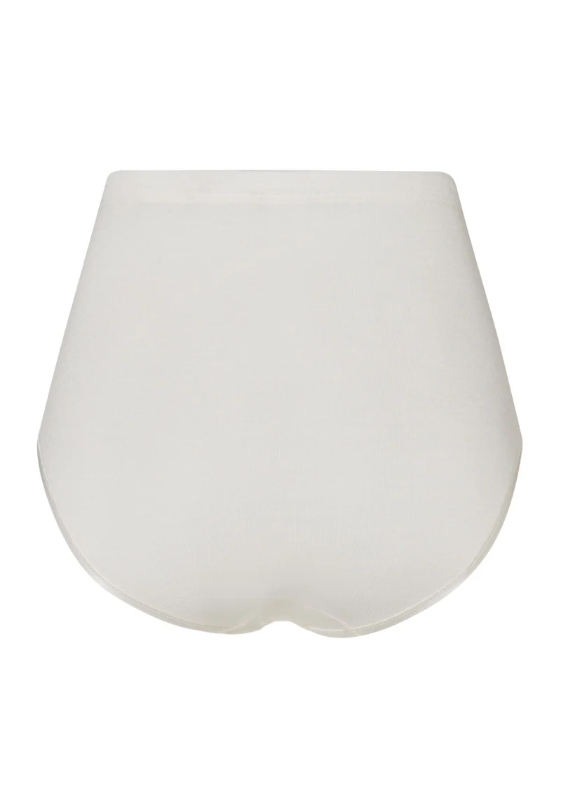 Woolen Silk Maxi Briefs | cygne 071420-070795