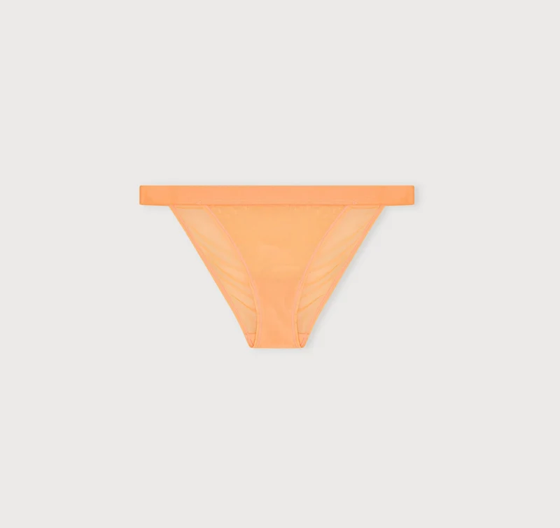 Mesh Tanga Briefs