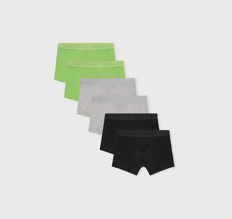 Core Trunks 6-Pack