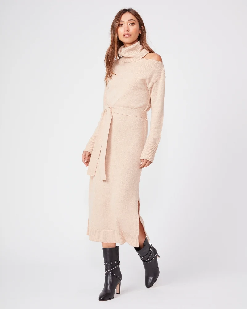 Raundi Camel Dress