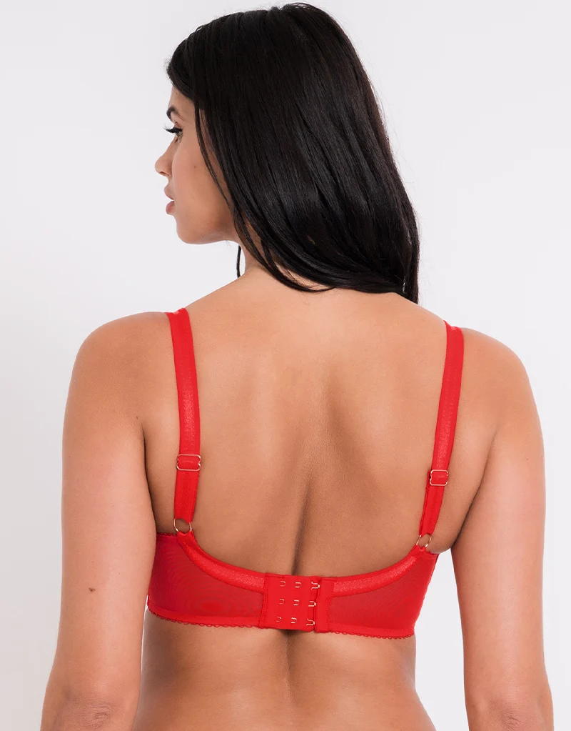 Scantilly Fascinate Plunge Bra Poppy Red
