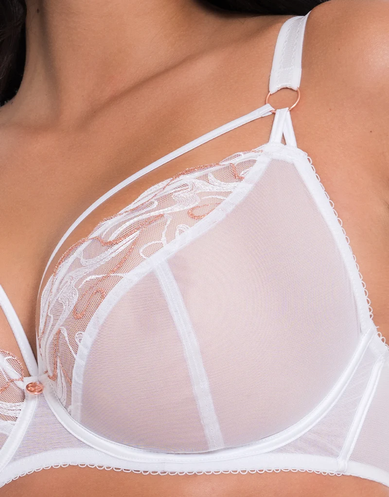 Scantilly Fascinate Plunge Bra White