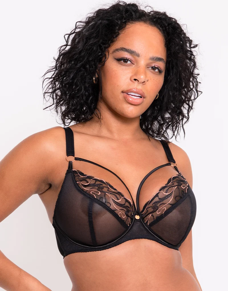 Scantilly Fascinate Plunge Bra Black