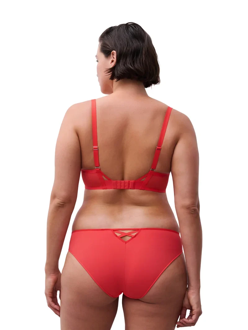 Chantelle – üppige, zarte, extravagante Blume