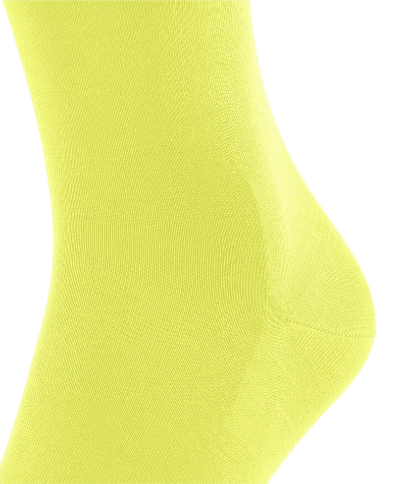 FALKE ClimaWool Herren