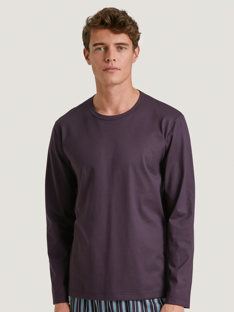 HERREN Shirt langarm, plum