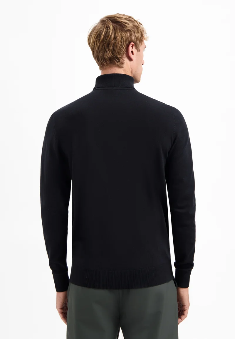 Pullover Roll Neck