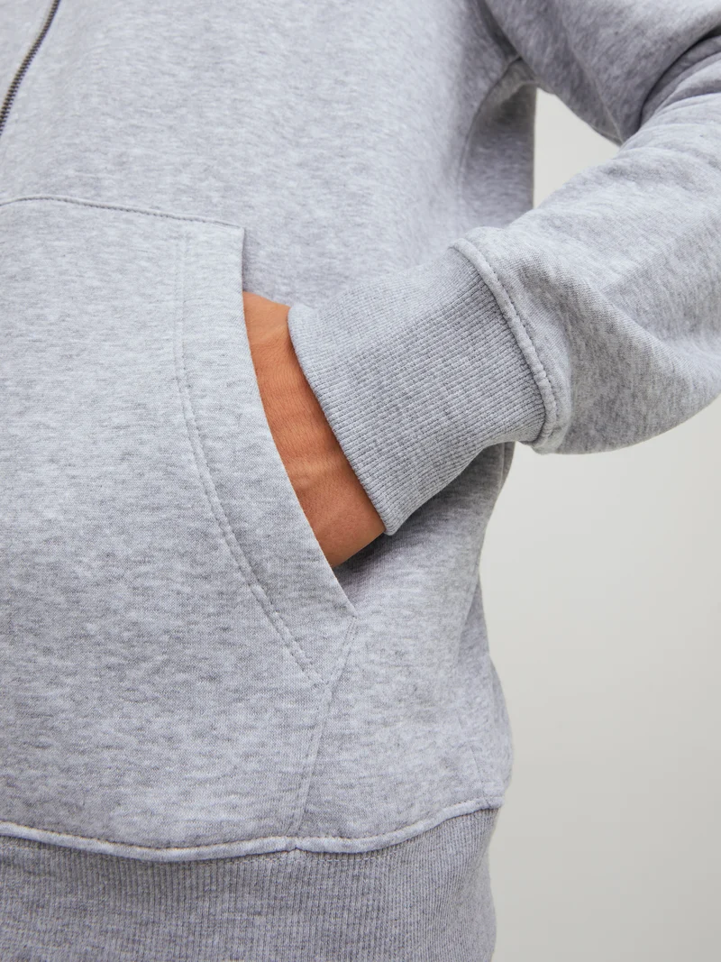 JJEBRADLEY SWEAT ZIP HOOD NOOS