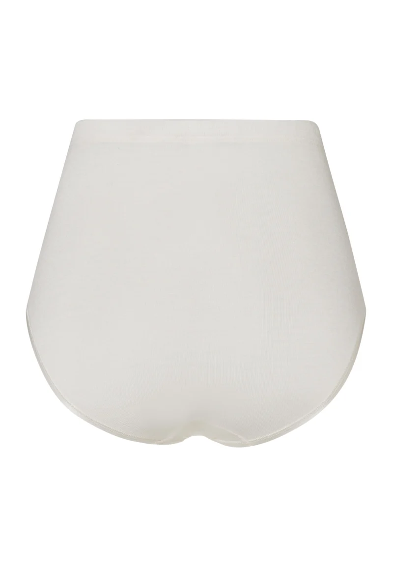 Woolen Silk Maxi Briefs