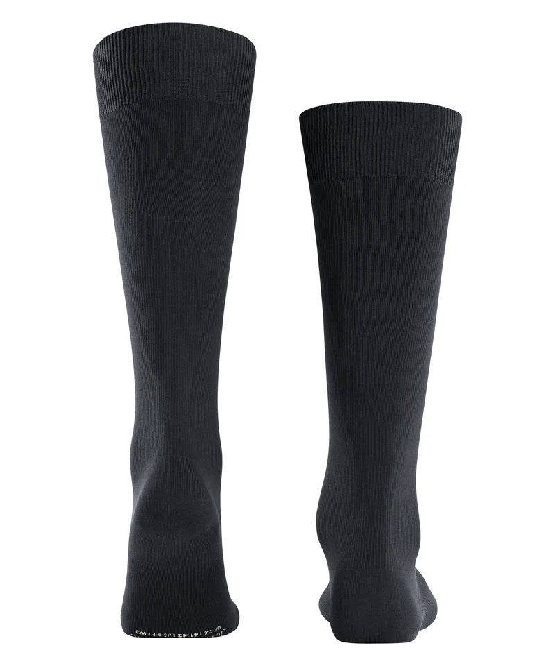 FALKE Ultra Energizing Herren