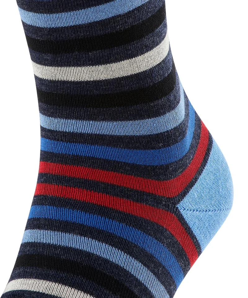 FALKE Tinted Stripe Herren